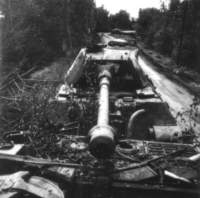 abandonedtigeriiofpanzerabteilung503_small.jpg