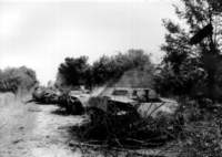 destroyedcolumnofsdkfz250_small.jpg