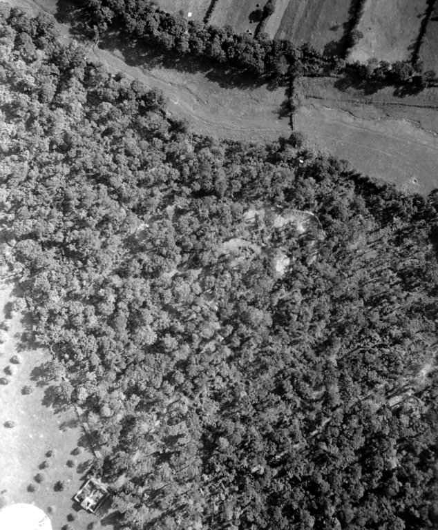 forestdecerisypolstorefromtheair.jpg