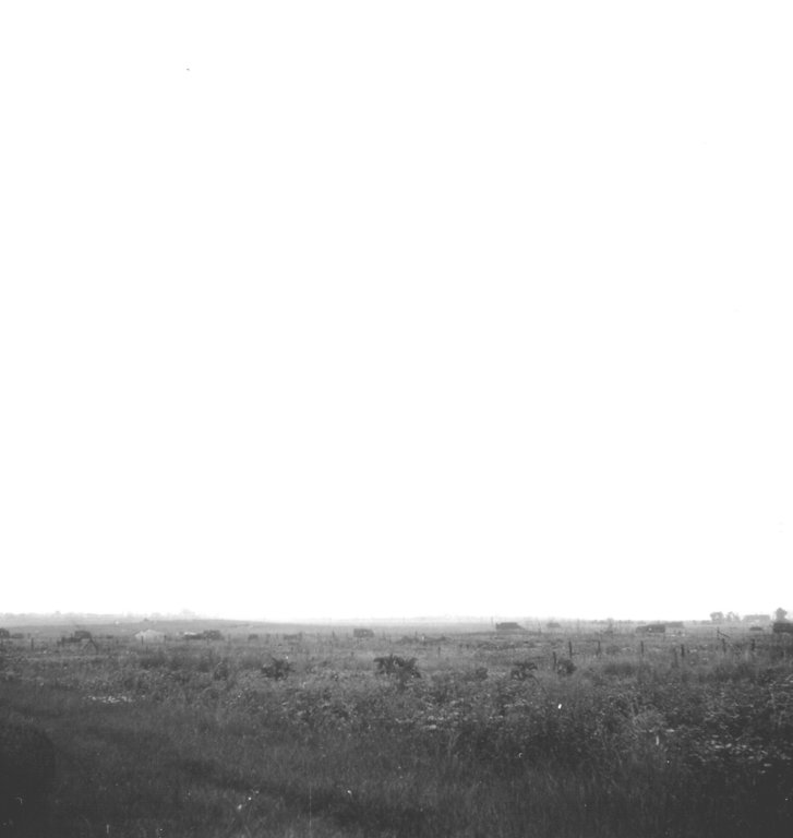 generalviewofthefieldsaroundifs.jpg