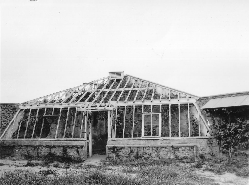 greenhousesaintlaurentsurmer.jpg