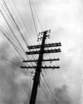 telegraphpole_small.jpg